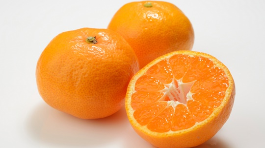 법환초 5-2반 제주체크인 귤