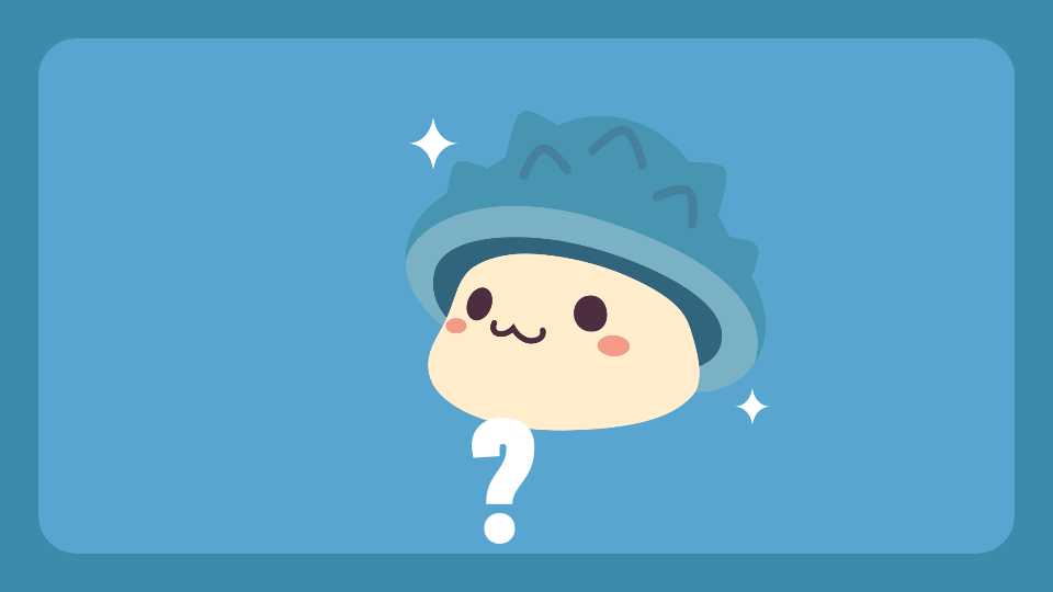 아라초 5-6   제주