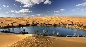 모여봐요 환장의섬