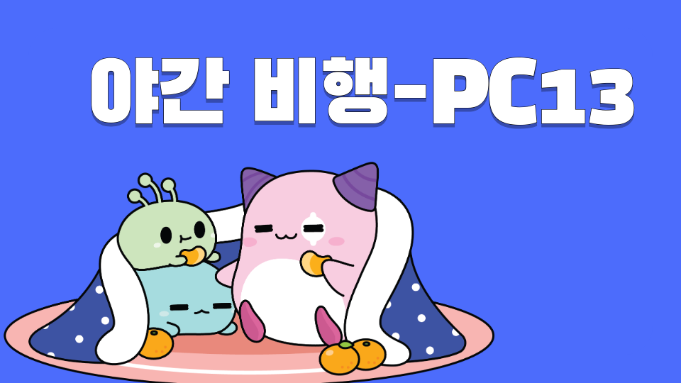 야간 비행-PC13