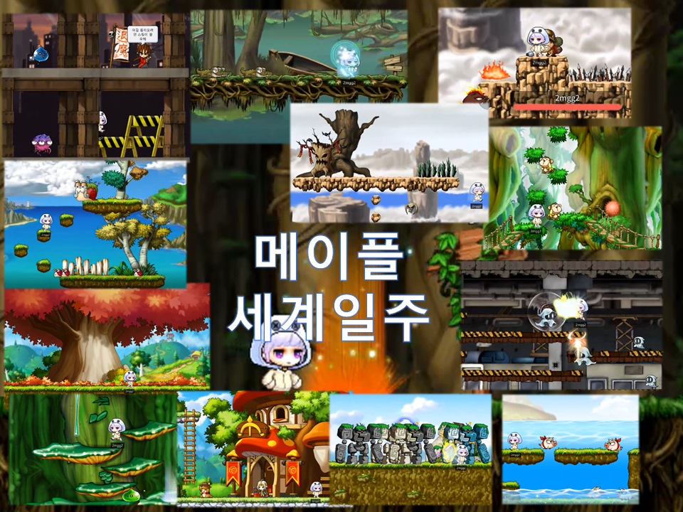 메이플 세계일주