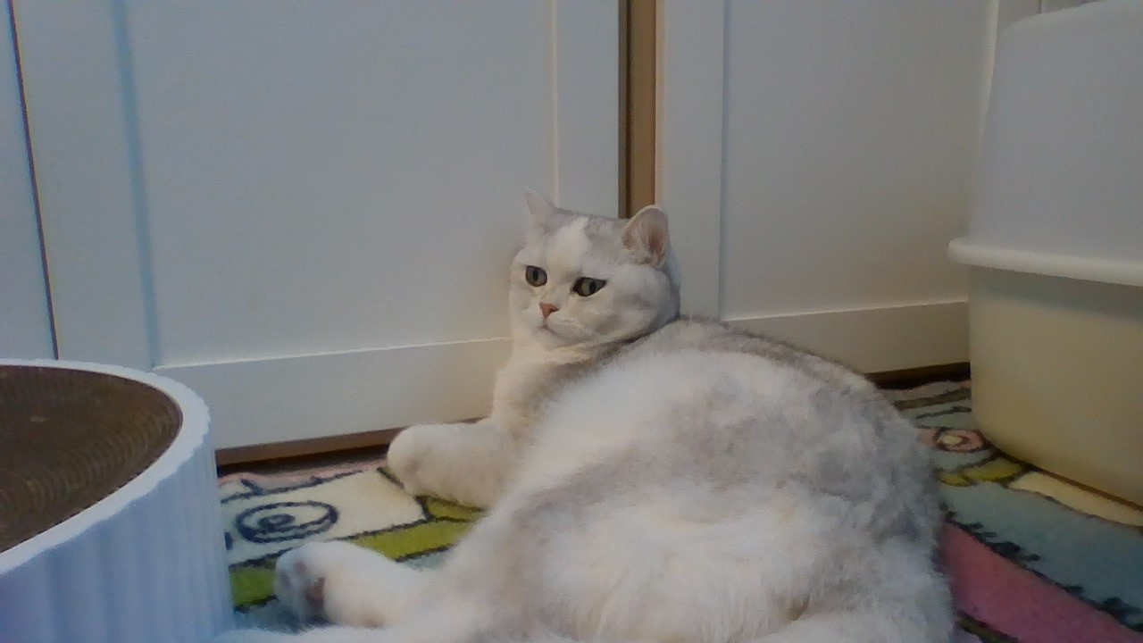 체크포인트 없는 사다리 점프 맵