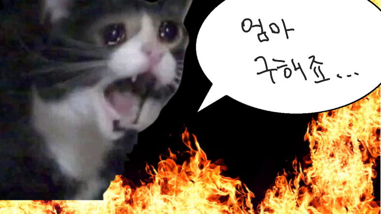 눈 떠보니 좀비 아포칼립스인 세계에서 고양이를 잃어버렸다?!