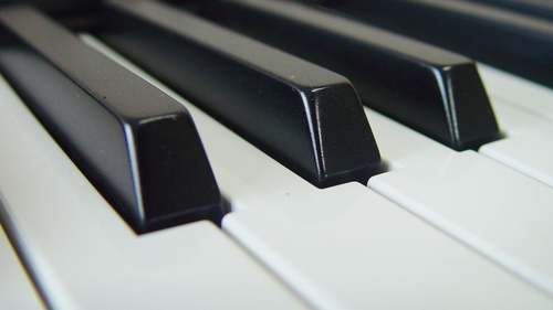 초보만 깰수있는 점프맵