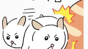 박소율이 만든거