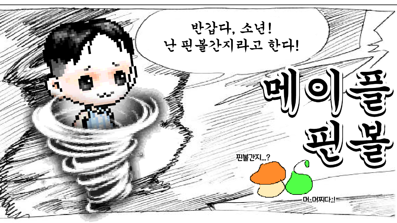 메이플 핀볼