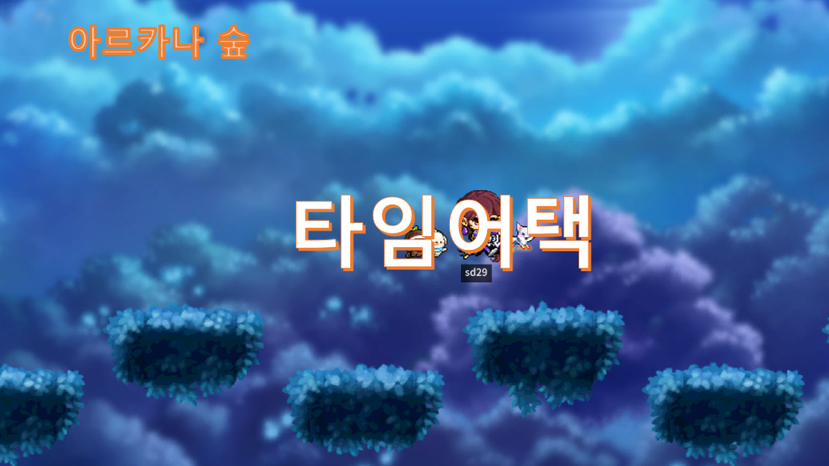 아르카나 숲 레이스