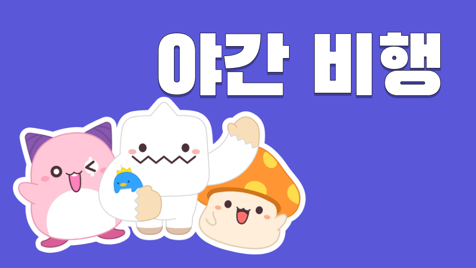 야간 비행