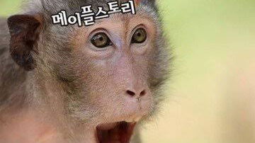 죽음이란 무엇일까?