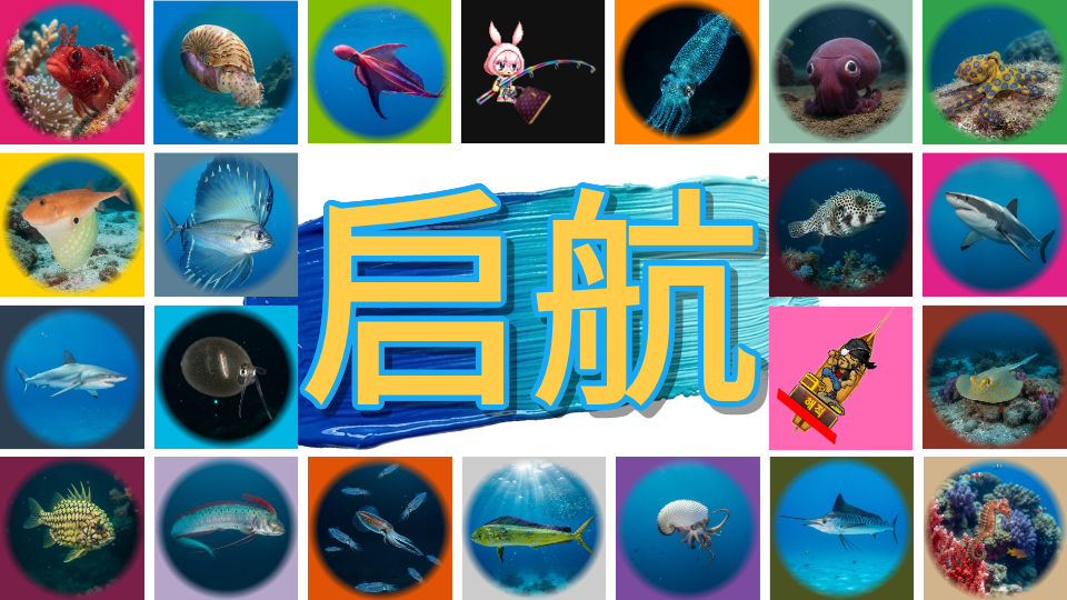 启航
