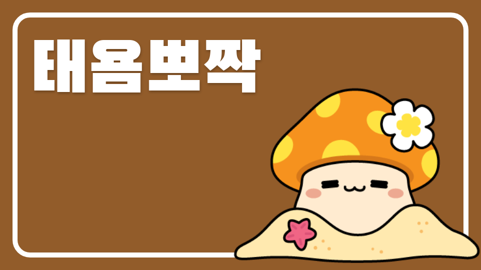 [대신중1-8]제주체크인-오염된 제주