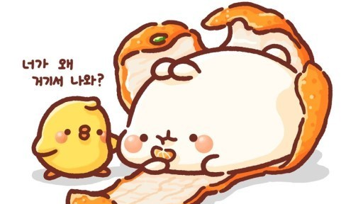 삼성초1반_귀욤미들의 제주