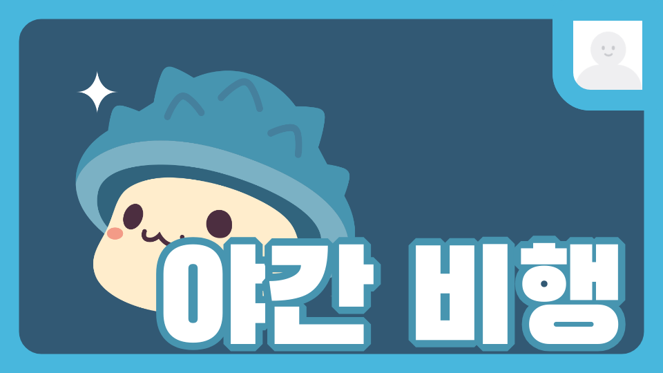 야간 비행