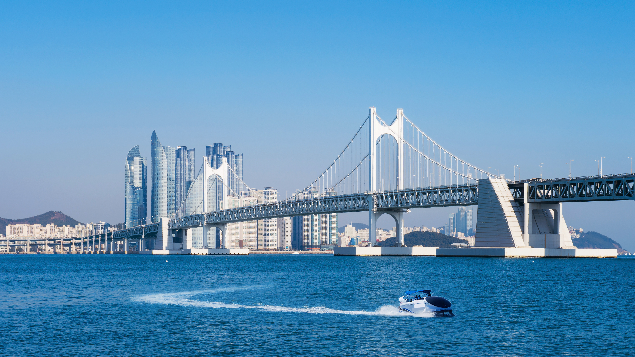 [디지털새싹SDG]바다동물들을 구하라!