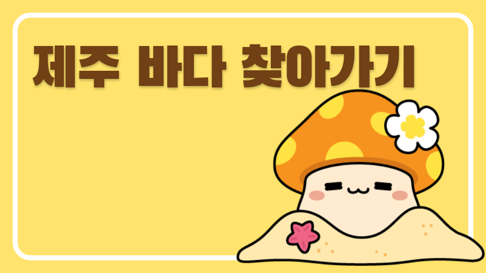 [제주체크인 신제주초6-4] 제주 바다 찾아가기