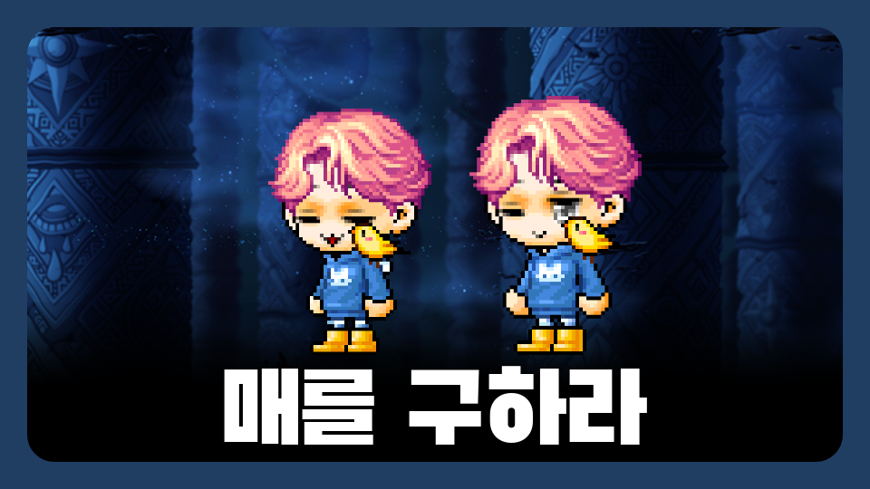 매를 구하라