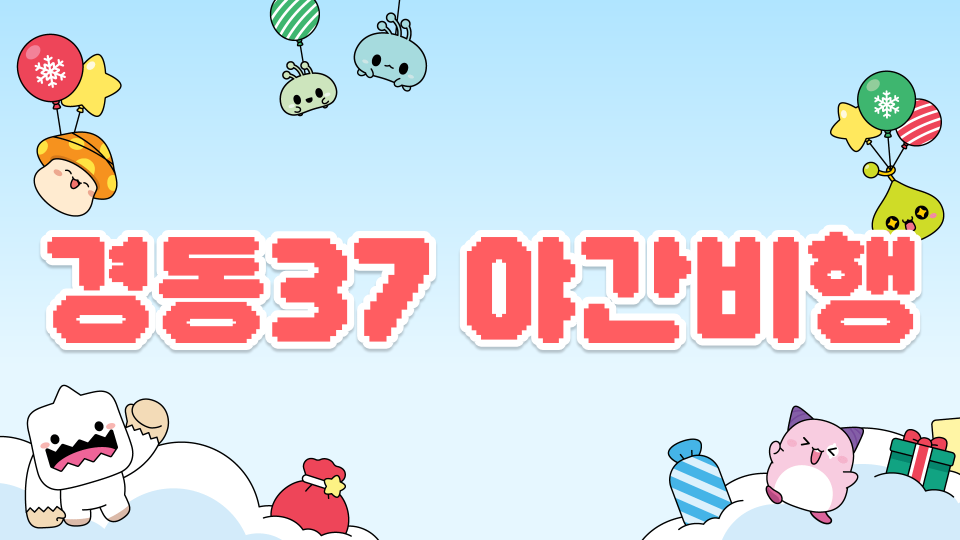 경동37 야간비행