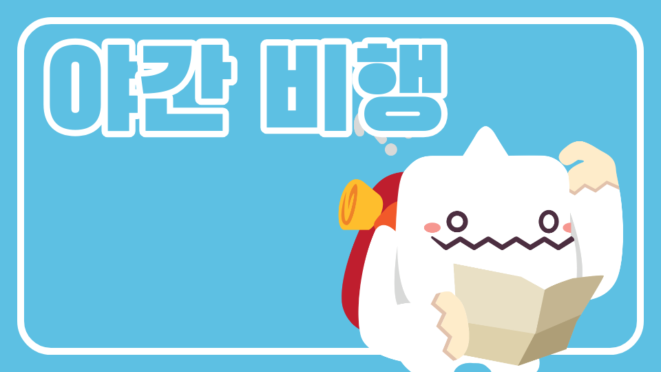 수송초 야간 비행