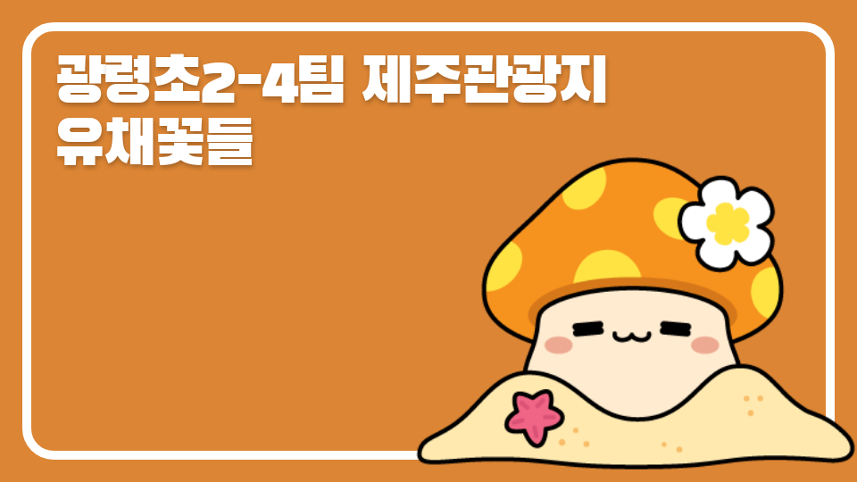 광령초2-4팀 제주관광지 유채꽃들