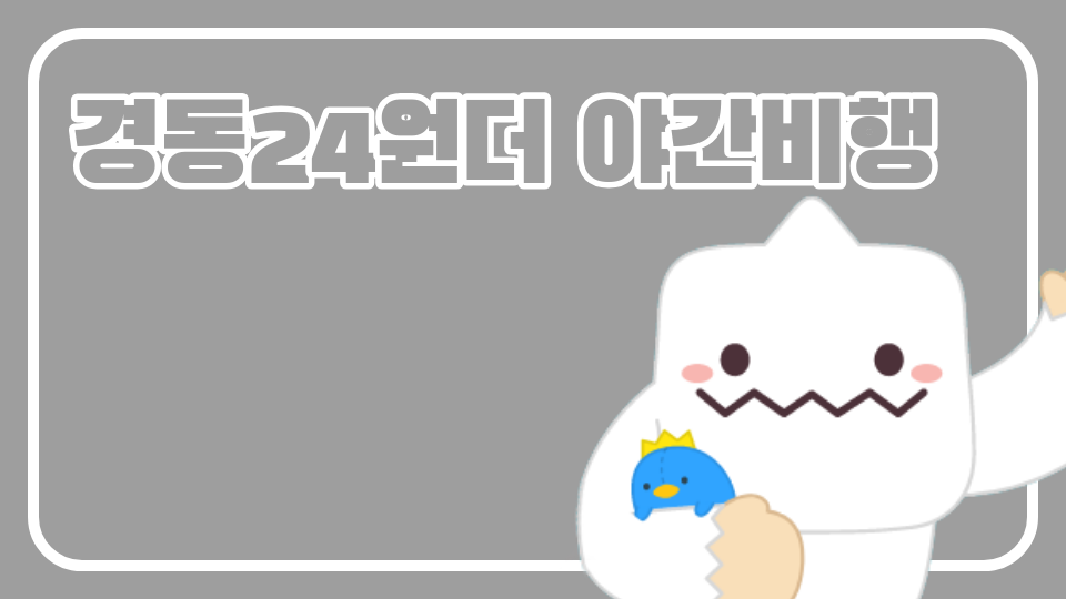 경동24원더 야간비행