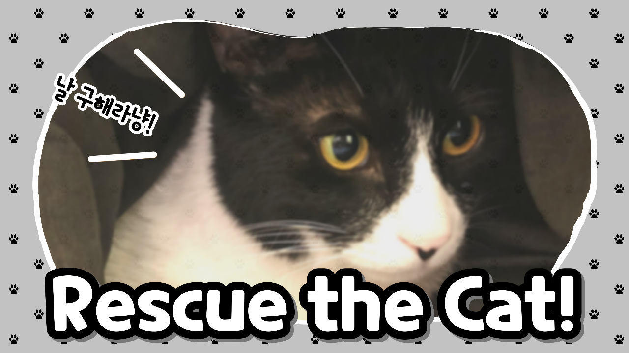 [MOD교사연구회] 천재(함)영어 6학년 1학기 Rescue the Cat!