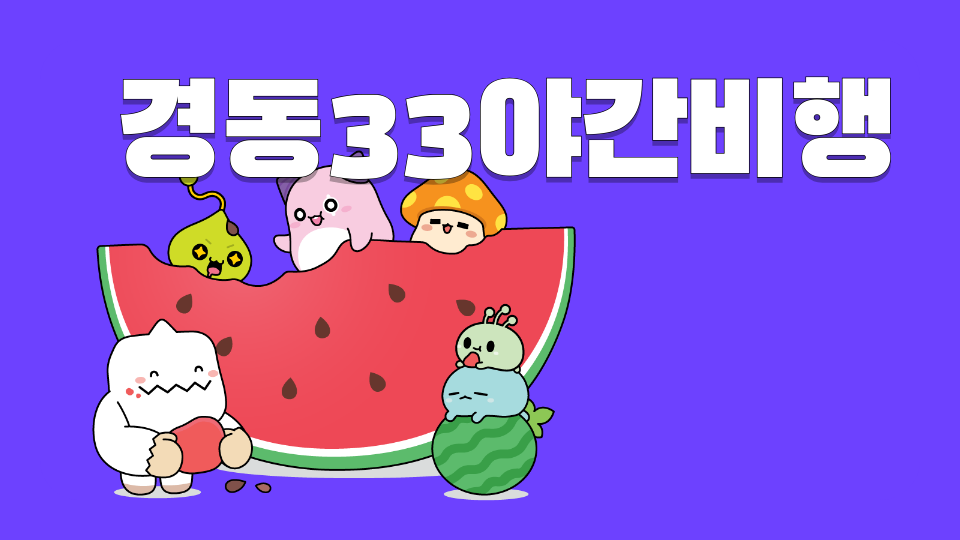 경동33야간비행