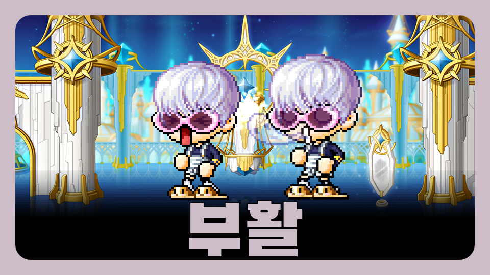 [제주체크인]신제주초 64부활