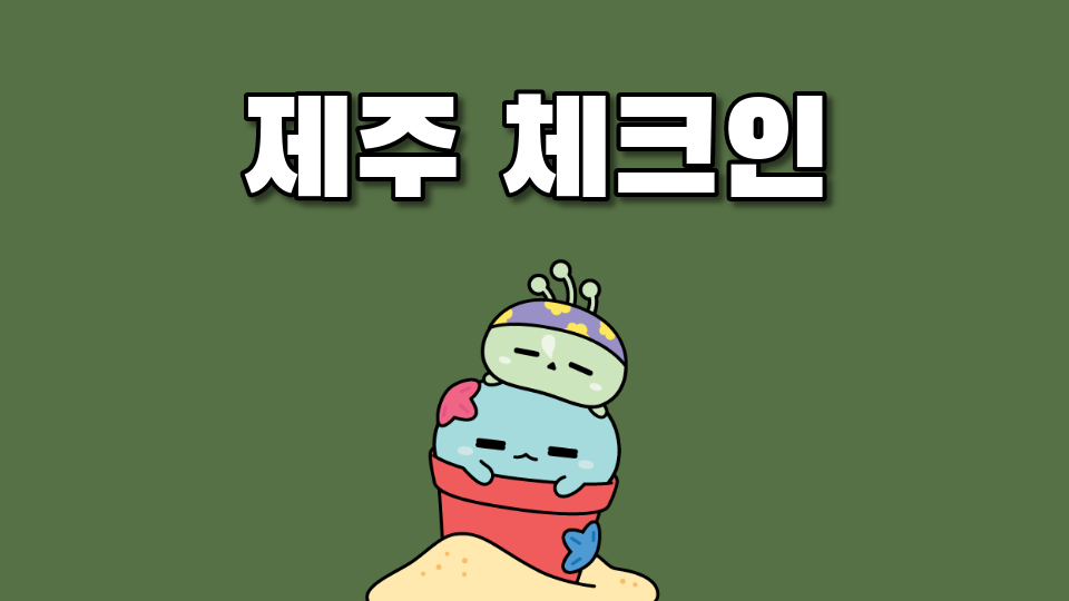 제주 체크인 신촌초 040114