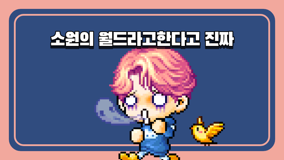 제주체크인 대신중1-2