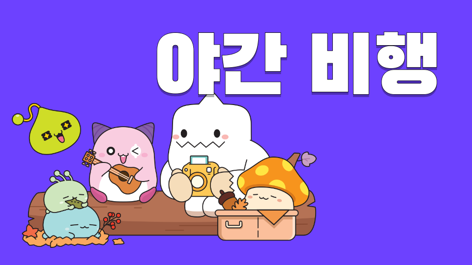 야간 비행