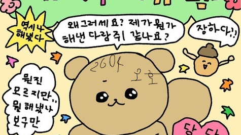 [제주체크인 오호2604] jeju environment