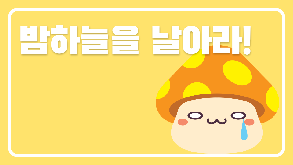 밤하늘을 날아라!