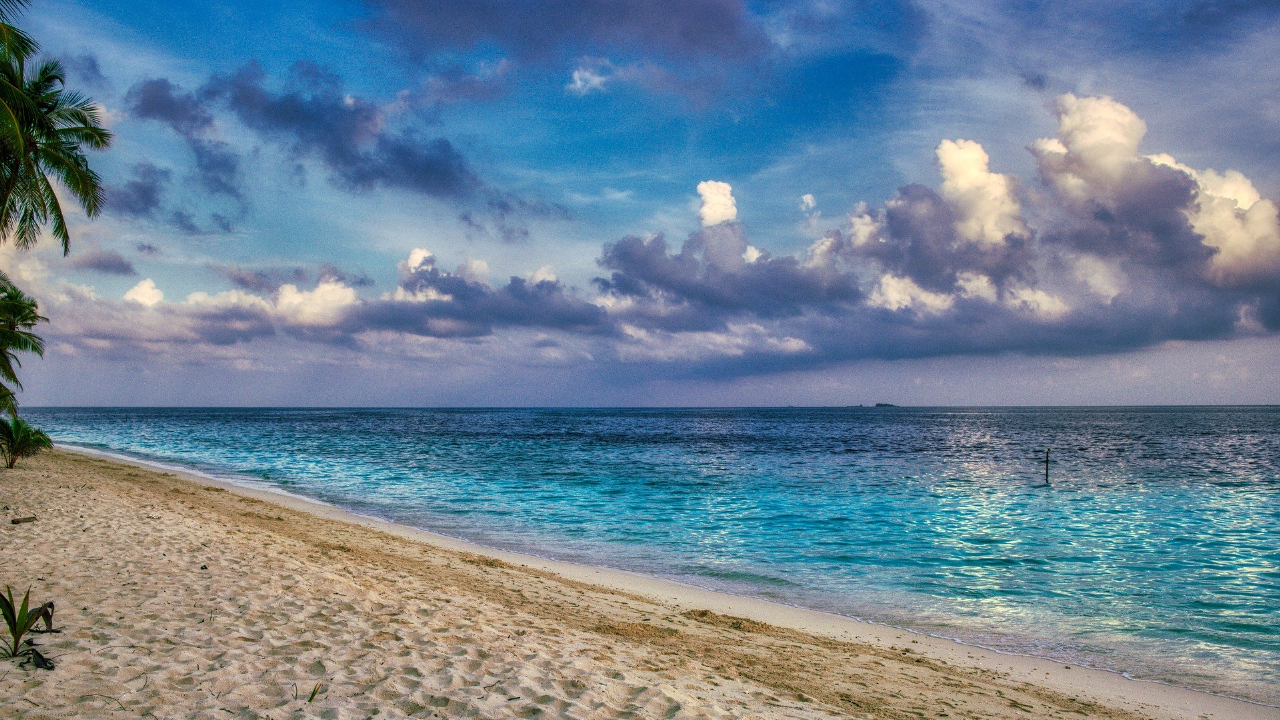 [디지털새싹SDG]빅히어로즈_동홍초_6-4 바다의 이야기