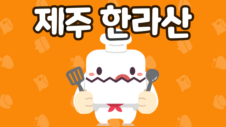 02일도초_제주체크인