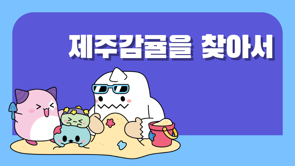 (효돈초 5-2) 제주 체크인 -제주감귤을 찾아서