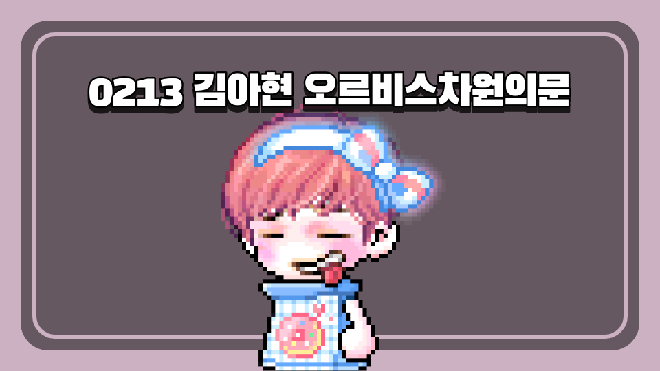 0213 김아현 오르비스차원의문