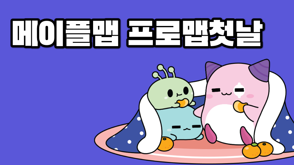 메이플맵 프로맵첫날