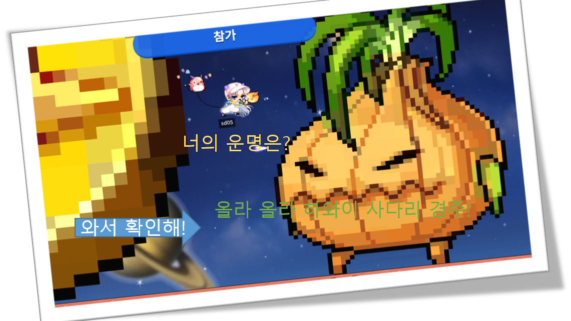 올라올라 하와이완 피자 (츄릅) 사다리 존