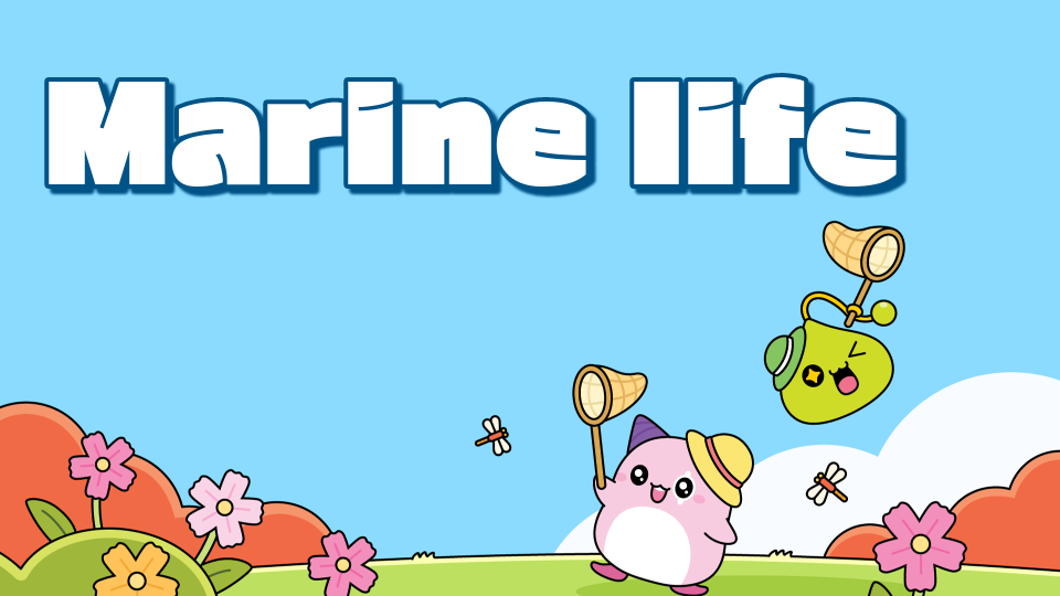 Marine life
