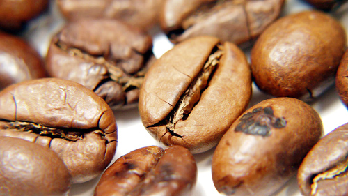 [제주체크인]6삼화초_제주에 대해 알아보자!!!