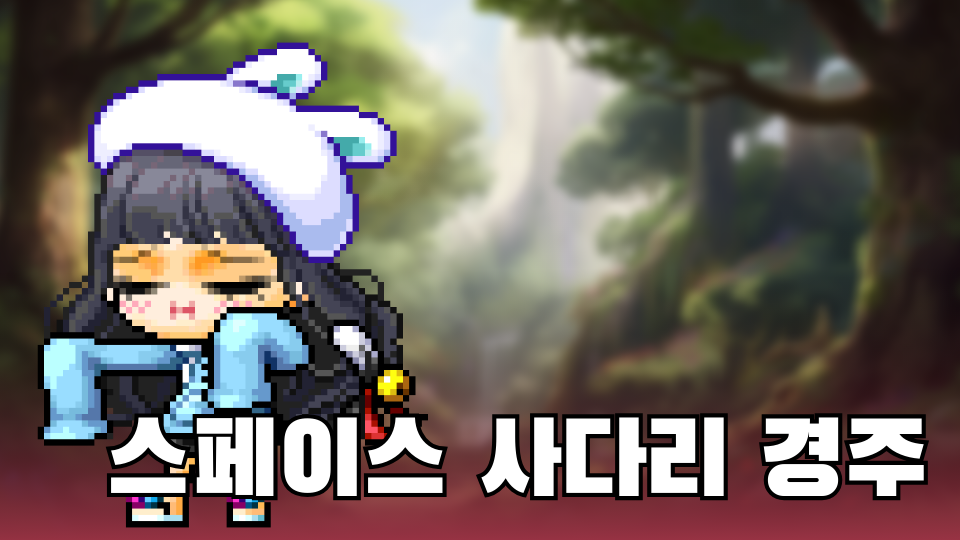 스페이스 사다리 경주