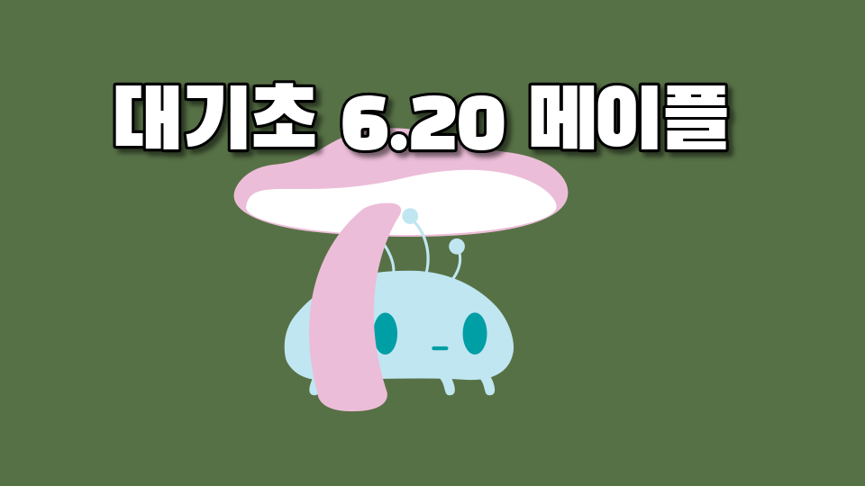 대기초 6.20 메이플 