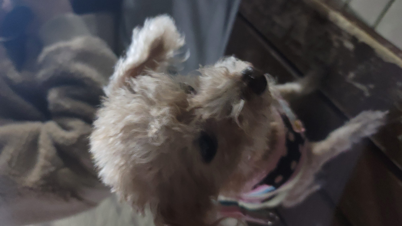 누룽지 피하기1