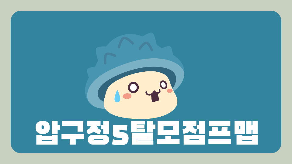 압구정5탈모점프맵