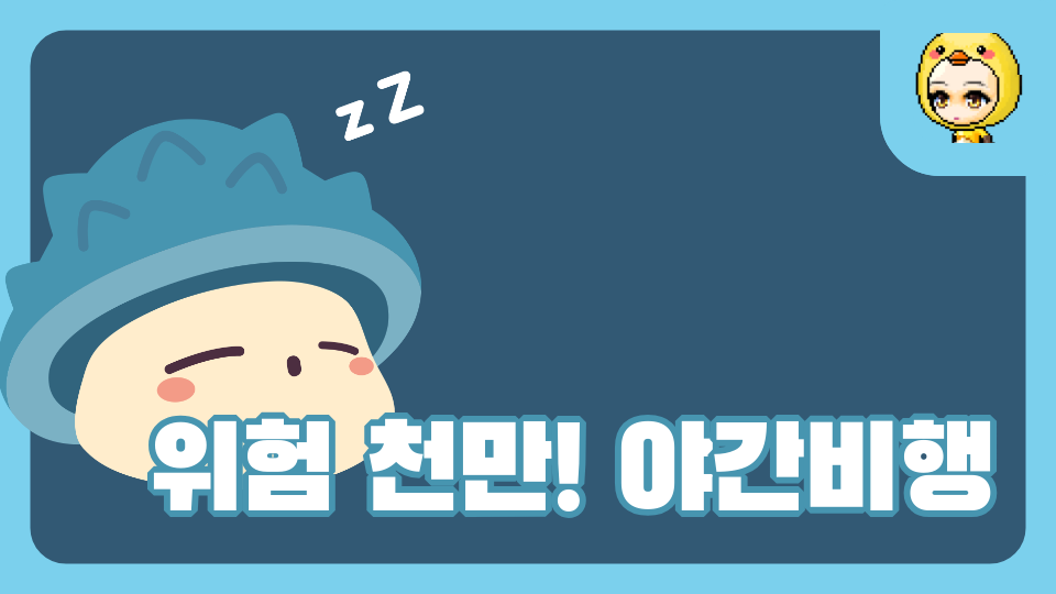 위험 천만! 야간비행