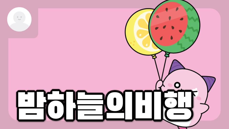 밤하늘의비행