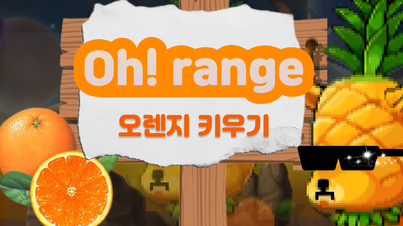 오렌지키우기