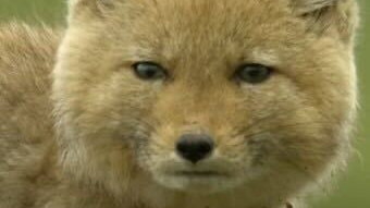 내이름은 옥수수 콘이지 4