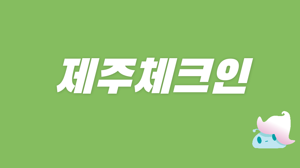 제주체크인 신촌초 040121