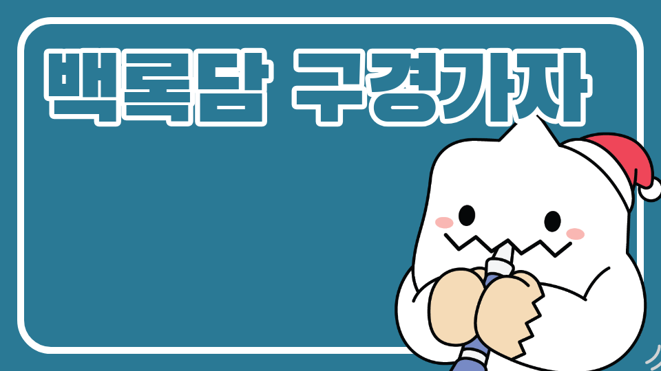 아라초51128 백록담 구경가자